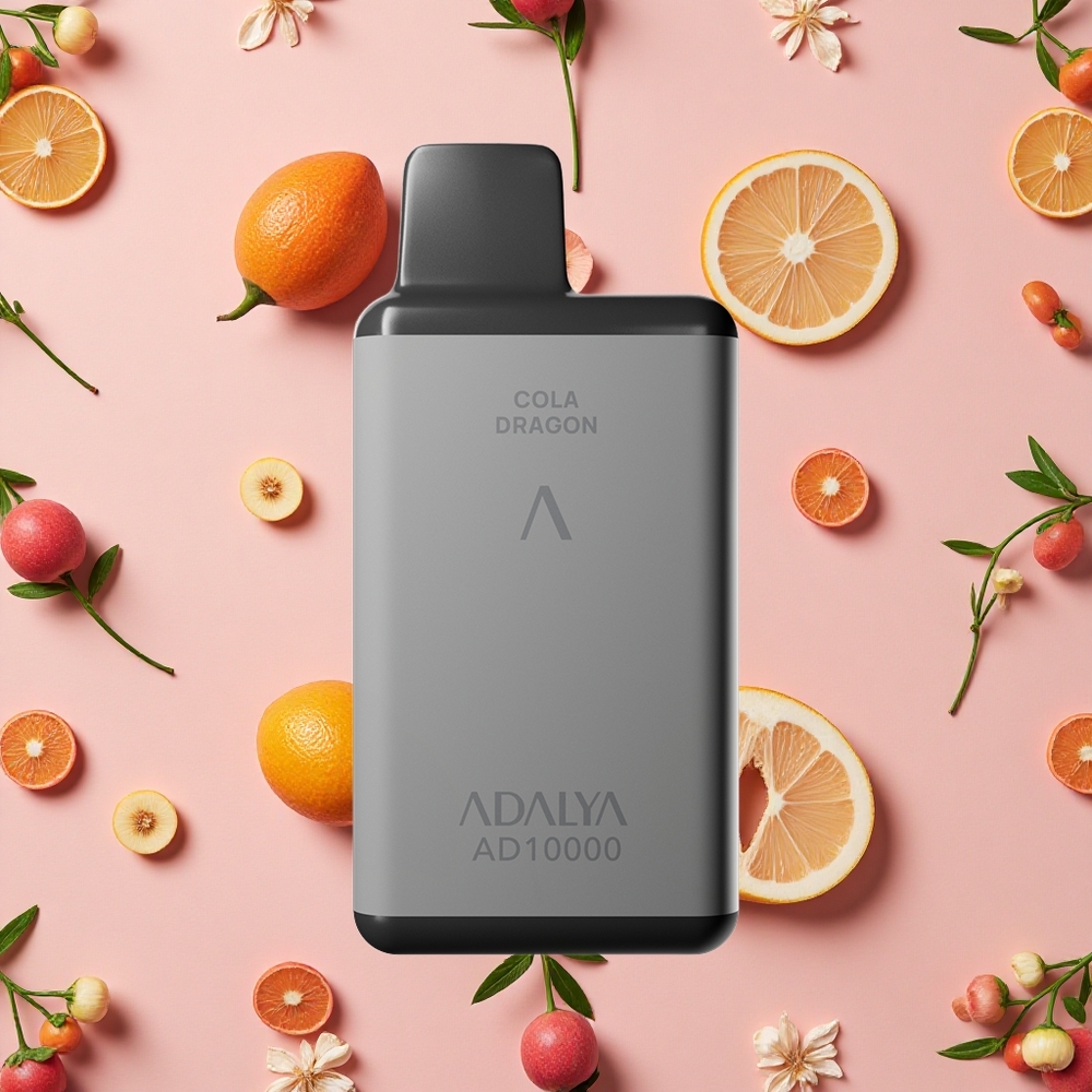 Adalya AD 10000 Puffs E-Cigarette Jetable Gris Spatial USB-C