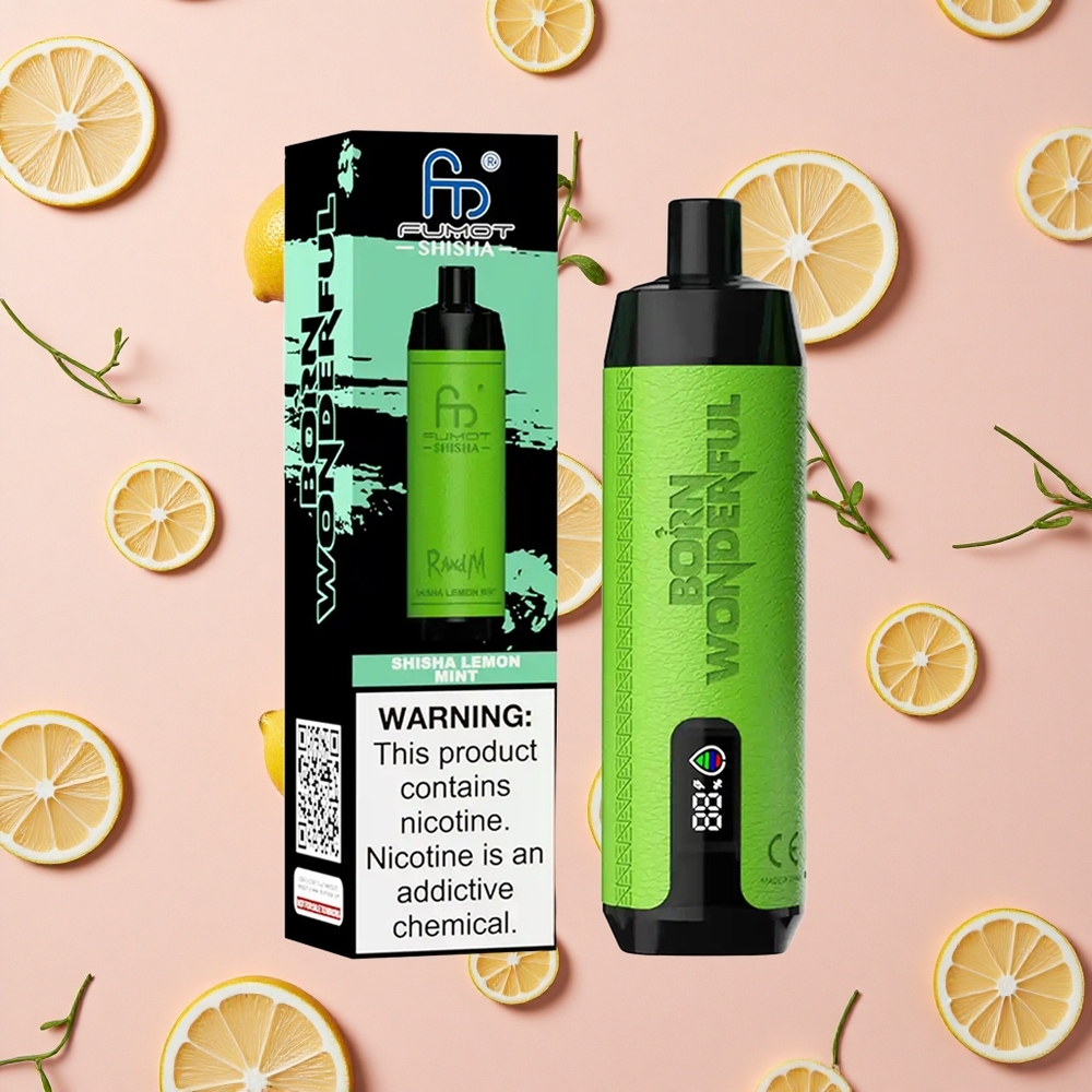 RandM Fumot Shisha 10000 Bouffées Vape Jetable Citron Menthe