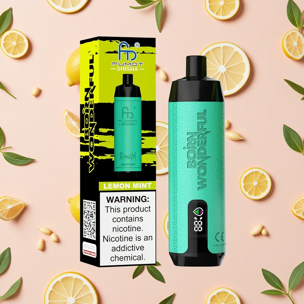 RandM Fumot Shisha 10000 Puffs Vape Jetable Citron Menthe