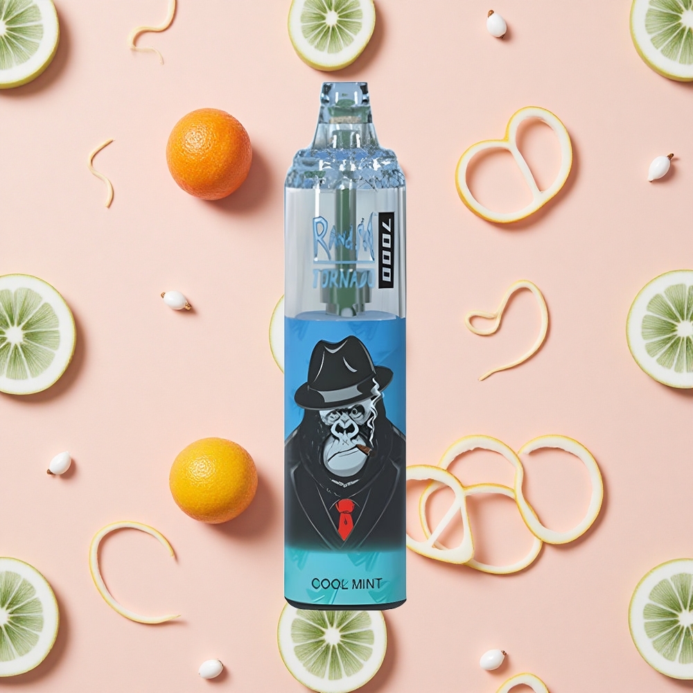 RandM Fumot Tornado 7000 Puffs Vape Jetable Menthe Fraîche avec 14 ML E-liquide